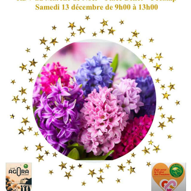 Vente de bulbes de jacinthe