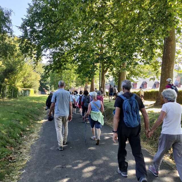 Rando découverte des ruches et de l'abeille noire
