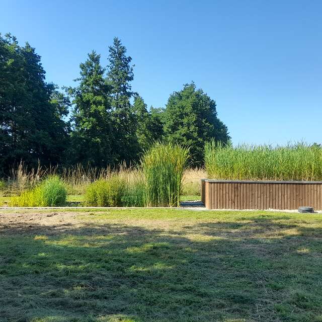 Découverte d'un jardin d'assainissement