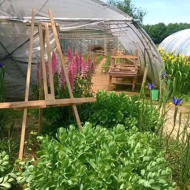 Visite des Jardins Partagés
