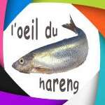 EXPOSITION : “L’œil du hareng”