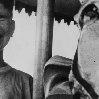 LE PETIT FUGITIF