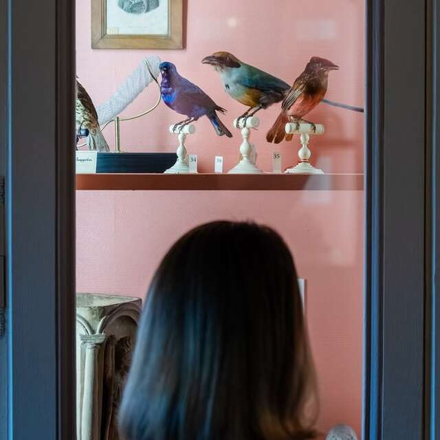 Visite famille et jeune public : "Les animaux du musée Flaubert et d'Histoire de la médecine"