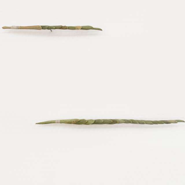 Atelier de pratique « La traversée »