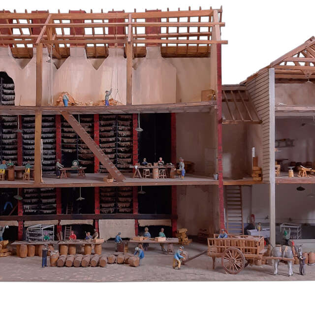 Conversation autour des collections – BOUCANES ET SAURISSERIES