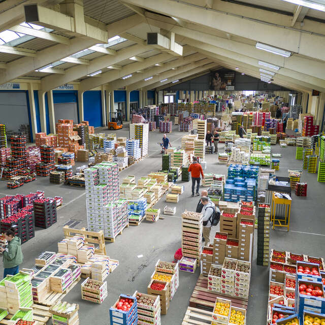 Visite exclusive des Halles de Normandie