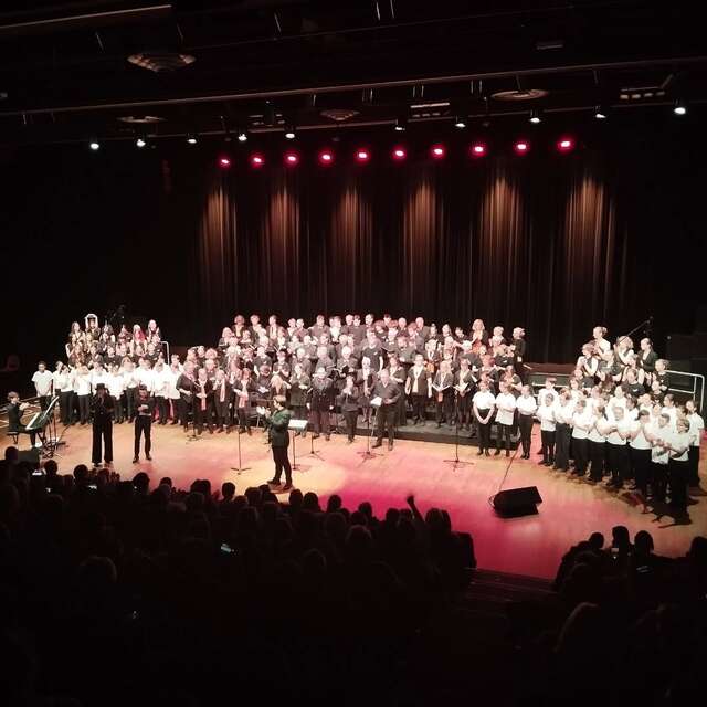 Festival "Notes et Paroles" - Restitution du stage de la Maîtrise de la Seine-Maritime