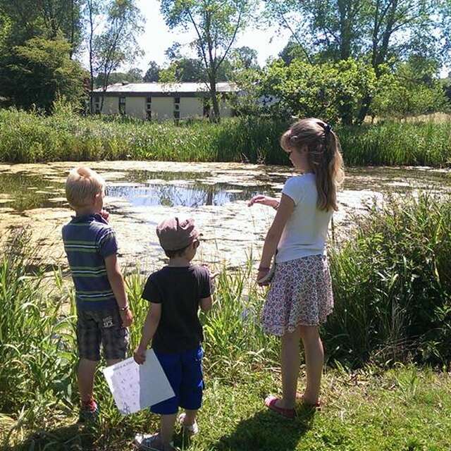 A la découverte des Amphibiens
