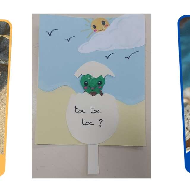 [Activité manuelle] De l'oeuf à l'Océan