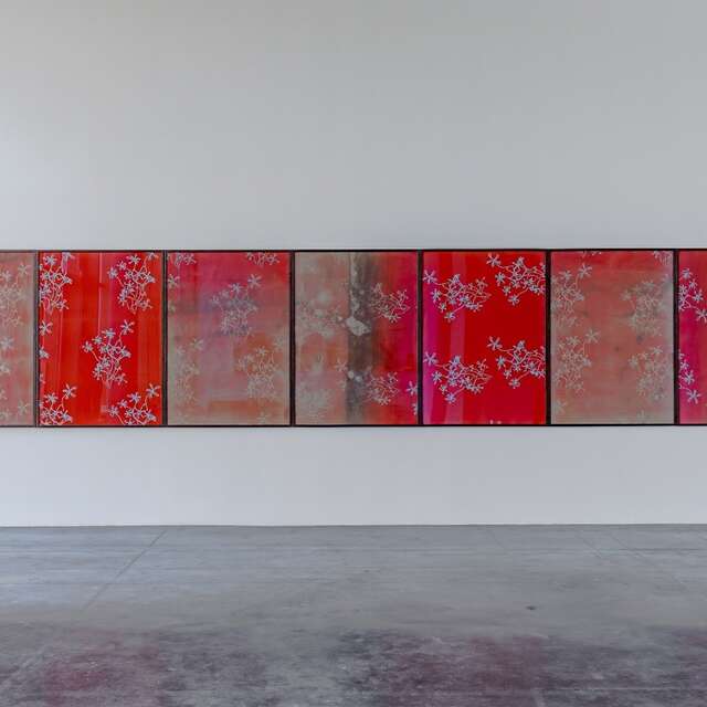 « La saison des collections » - Dessins