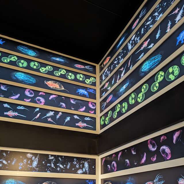 [Nuit Européenne des Musées] Visite nocturne de l'Estran