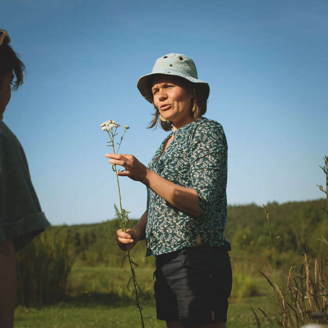 Découverte des plantes sauvages comestibles