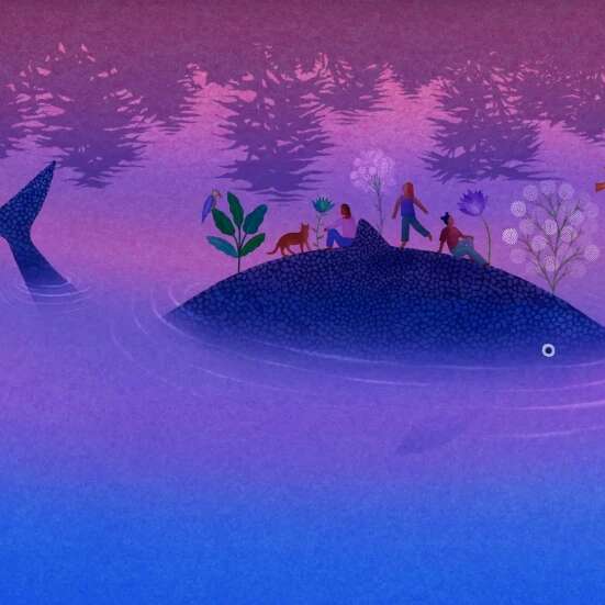 FESTIVAL TERRES DE PAROLES