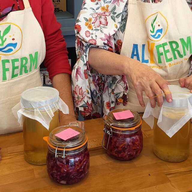 ATELIER - Lacto-fermentation avec Alyferm