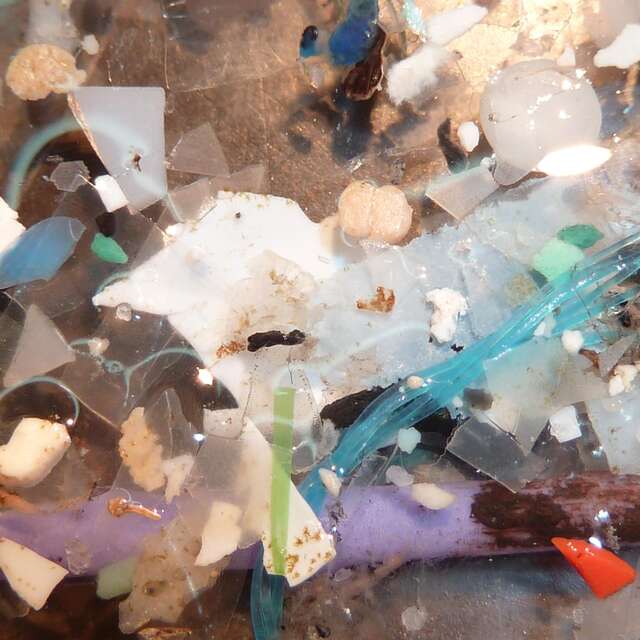 Le plastique, c'est fantastique ?