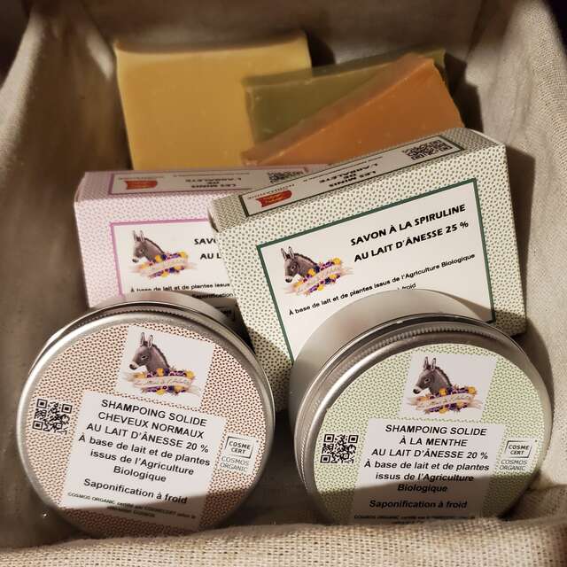 Les minis de l'Arbalète