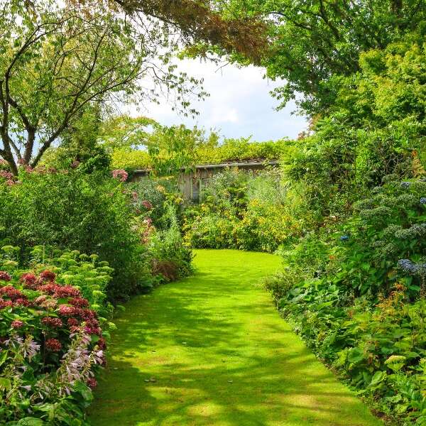 Jardin de Valérianes