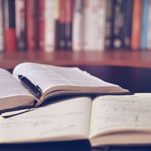 Lecture sous le marronnier