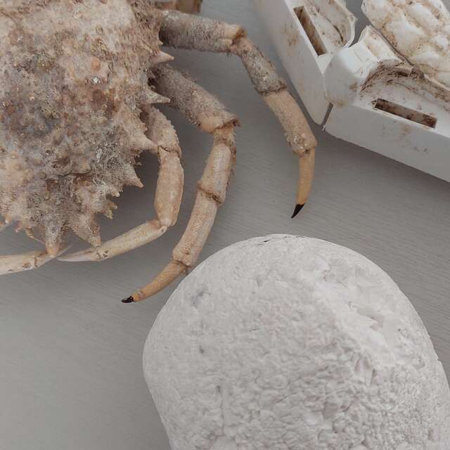 [Mini-visite] Les objets insolites