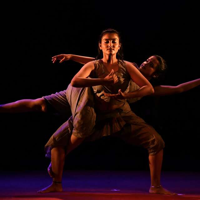 Fête de la Danse