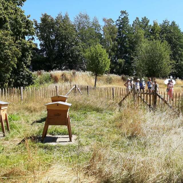 Randonnée inclusive et découverte de l'Abeille Noire