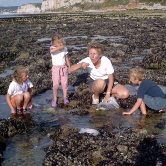 Alyferm - Découvertes des Algues sur l'Estran