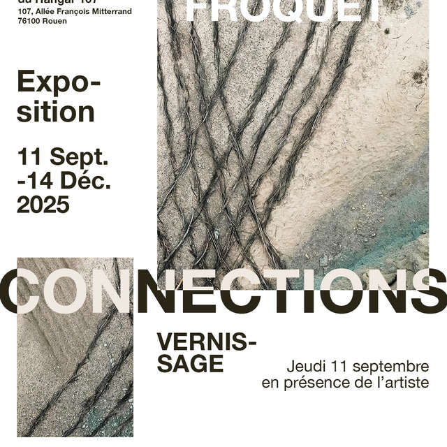Exposition Art Contemporain - CONNECTIONS par Romain Froquet