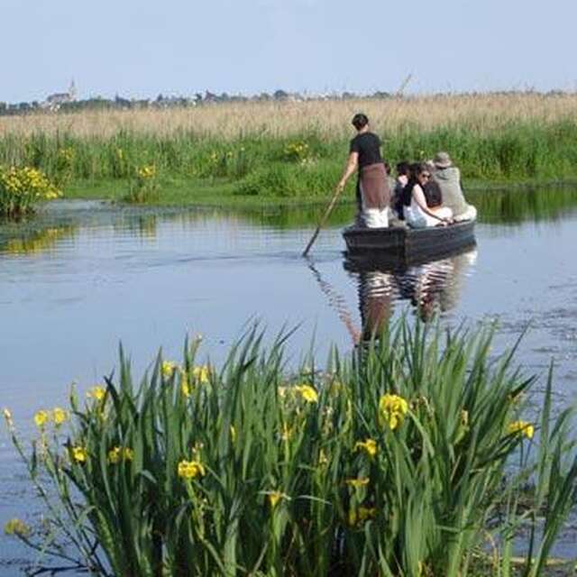 VALÉRIE AOUSTIN-HUARD