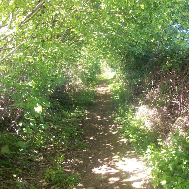 LA CHAPELLE AU RIBOUL - SENTIER DU GUÉ MARIE