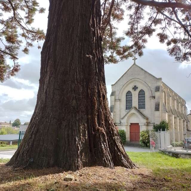 Conférence "L'institution Saint Paul, 140 ans de l'histoire de Mamers"