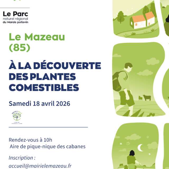 Balade nature « Découverte des plantes comestibles »