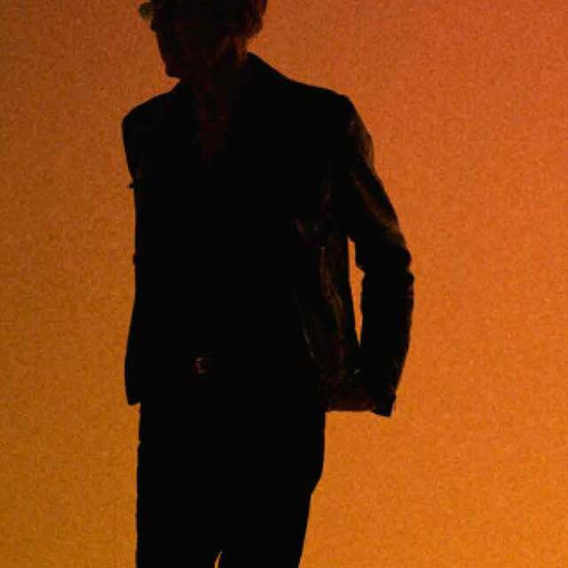 Concert "Alain Chamfort"