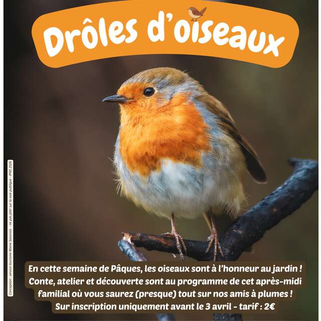 Atelier "Drôles d'oiseaux"