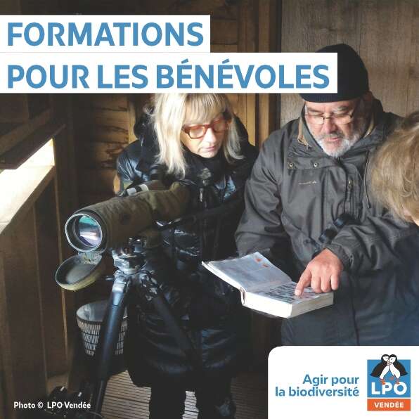 Formations POP Amphibiens - LPO