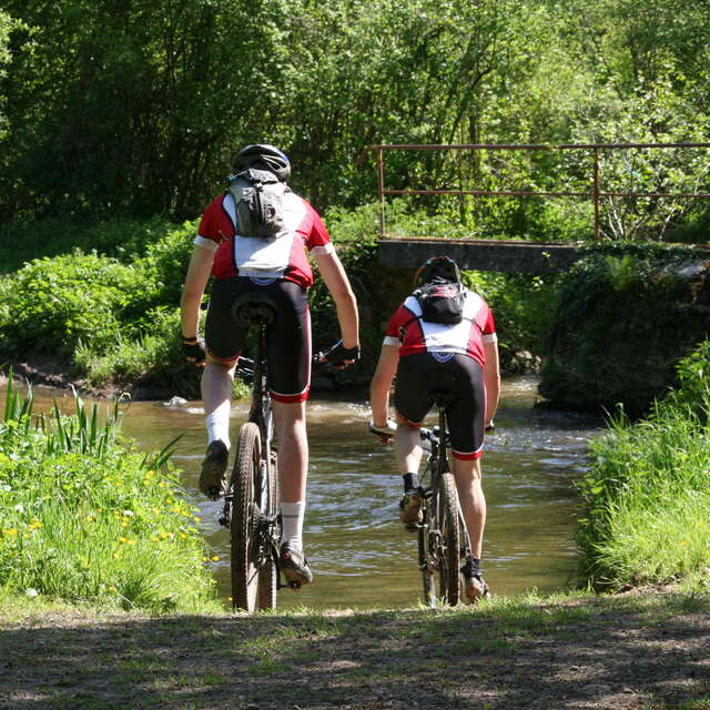 CIRCUIT VTT N°5 - LA VALLÉE DU MERDEREAU (BASE FFV LES PERLES)