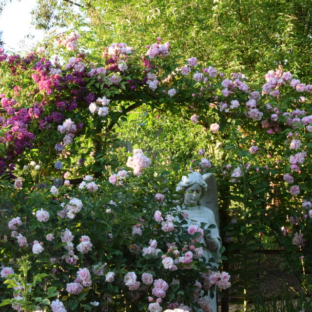 Jardins de la Mansonière