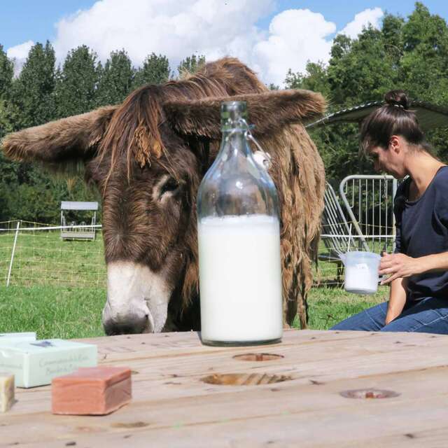 La Ferme du Marais Poitevin