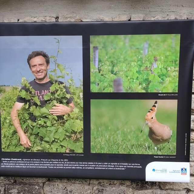 Regards croisés sur la ferme - Exposition extérieure