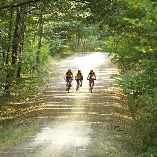 CIRCUIT VTT N°11 - BOUCLE FAMILLE