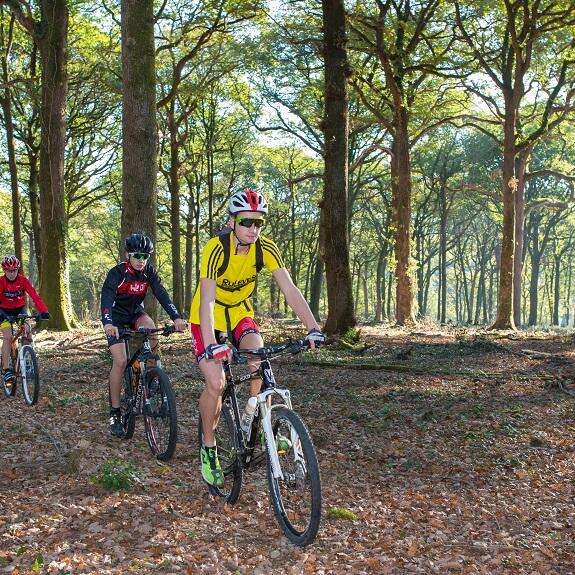 CIRCUIT VTT N°2 - PIERRE-BRUNE