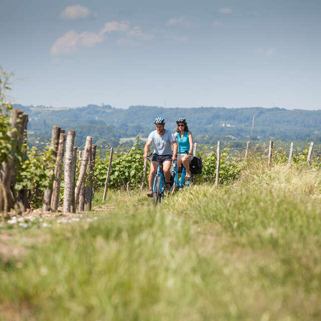 Location de vélos adultes et enfants