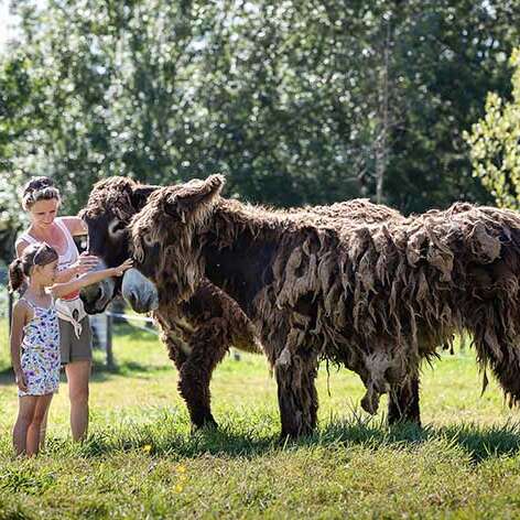 La Ferme du Marais Poitevin