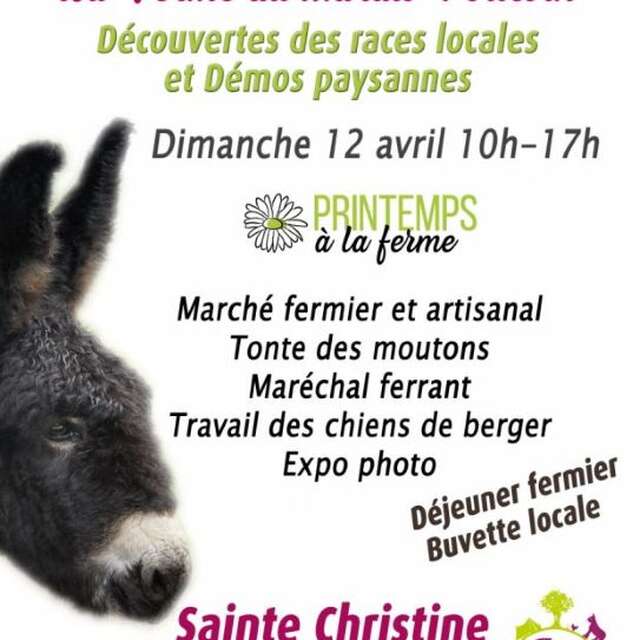 Portes ouvertes à la Ferme du Marais poitevin