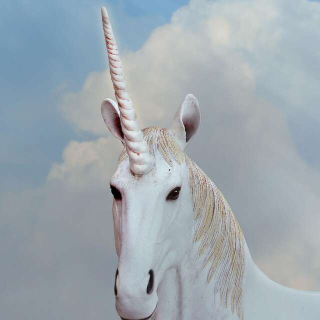 Le coin des enfants : À la recherche des animaux fantastiques