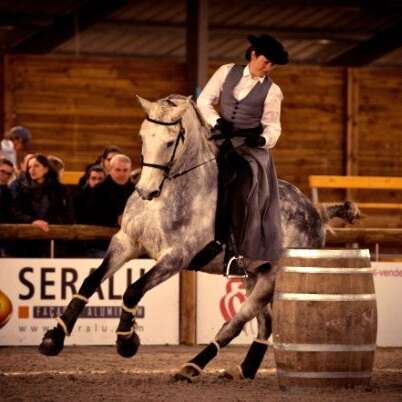 Stage équitation de travail - Equifeel