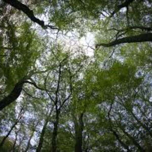 La forêt au fil des mois