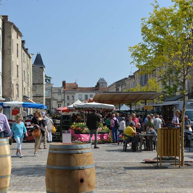 MARCHÉ - FONTENAY-LE-COMTE