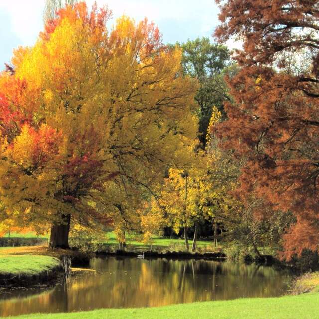 PARC DU CHÂTEAU DE LAUNAY-BAFFERT