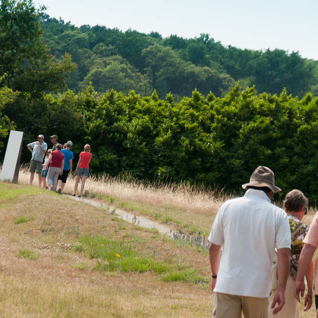 Site archéologique d'Aubigné Racan