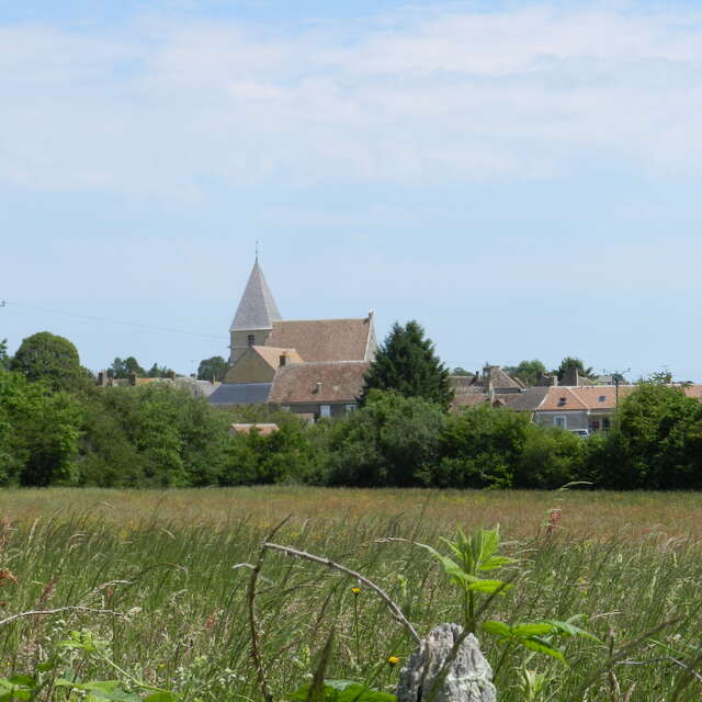 Randonnée pédestre